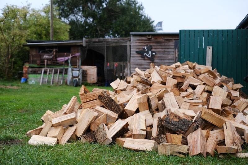 Anunțul Romsilva: Populația poate cumpăra online lemne de foc de la noi / Prețurile pentru un metru cub