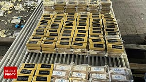 Captură de 132 de milioane de euro în Rusia. Ce au găsit autorităţile în containere cu banane aduse din America Latină
