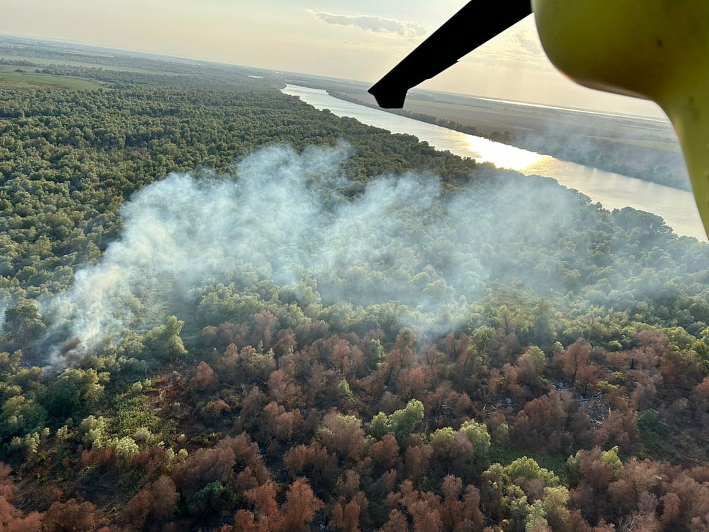 Incendiu de vegetație la Chilia Veche. Elicopterul Black Hawk, trimis să intervină