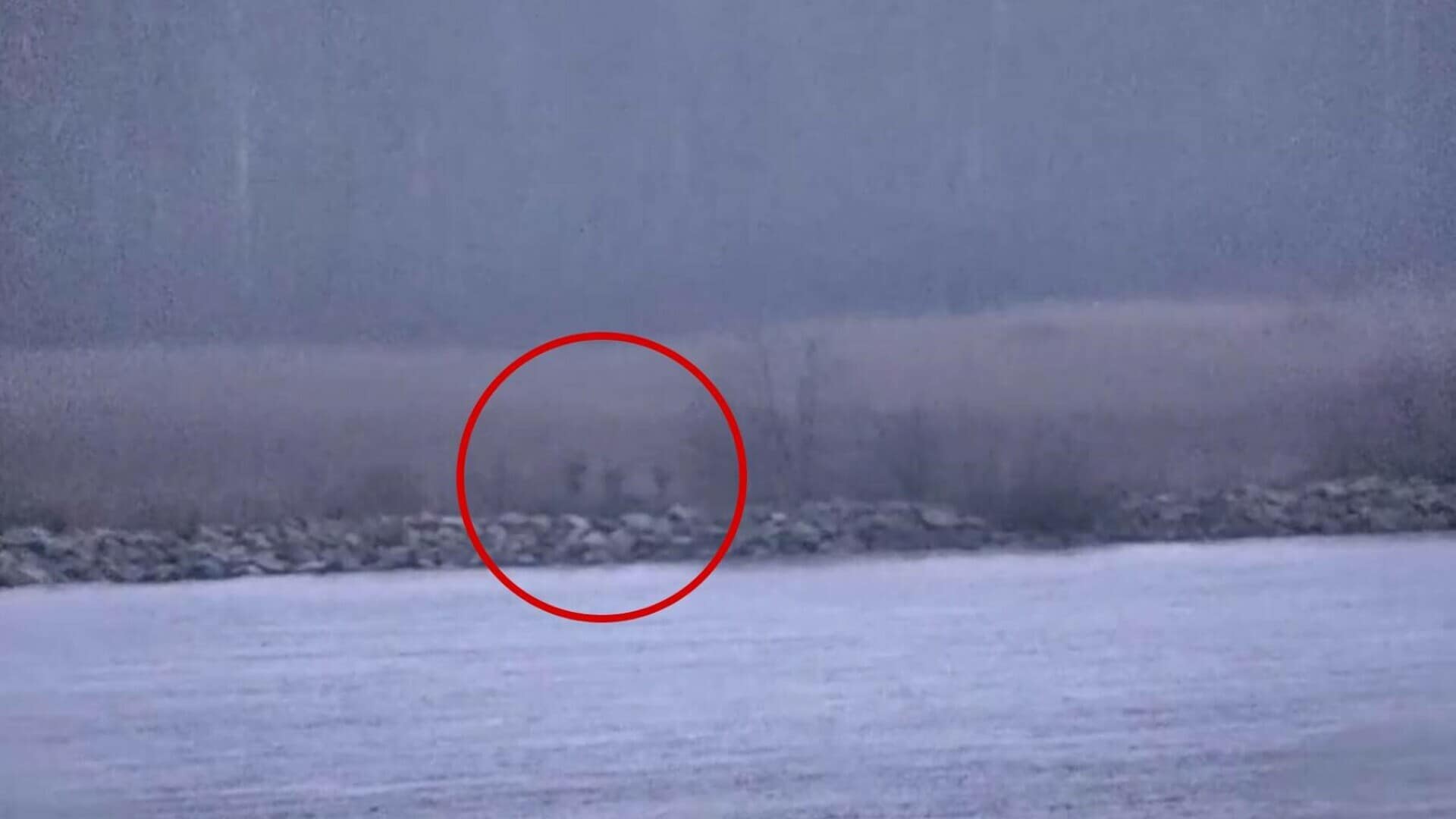 rusi granita estonia