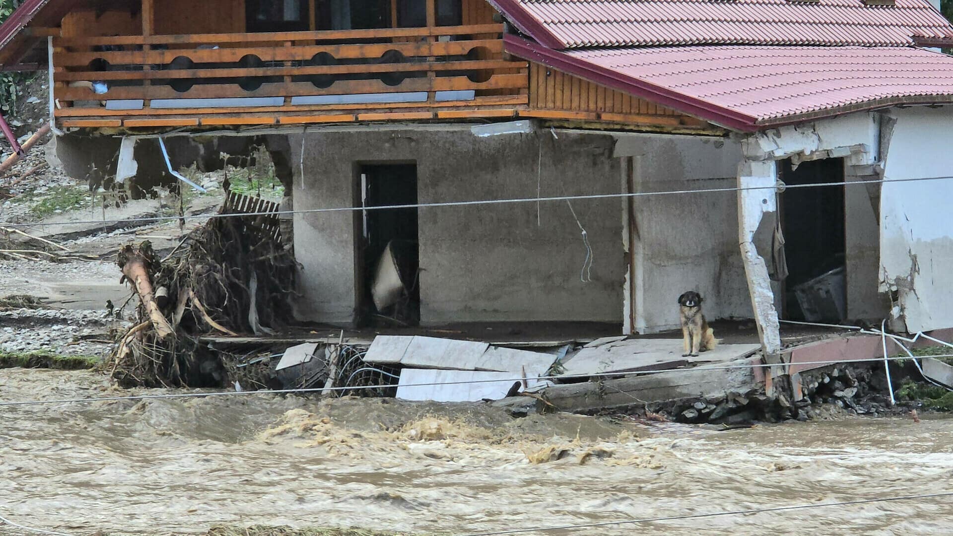 inundatii suceava