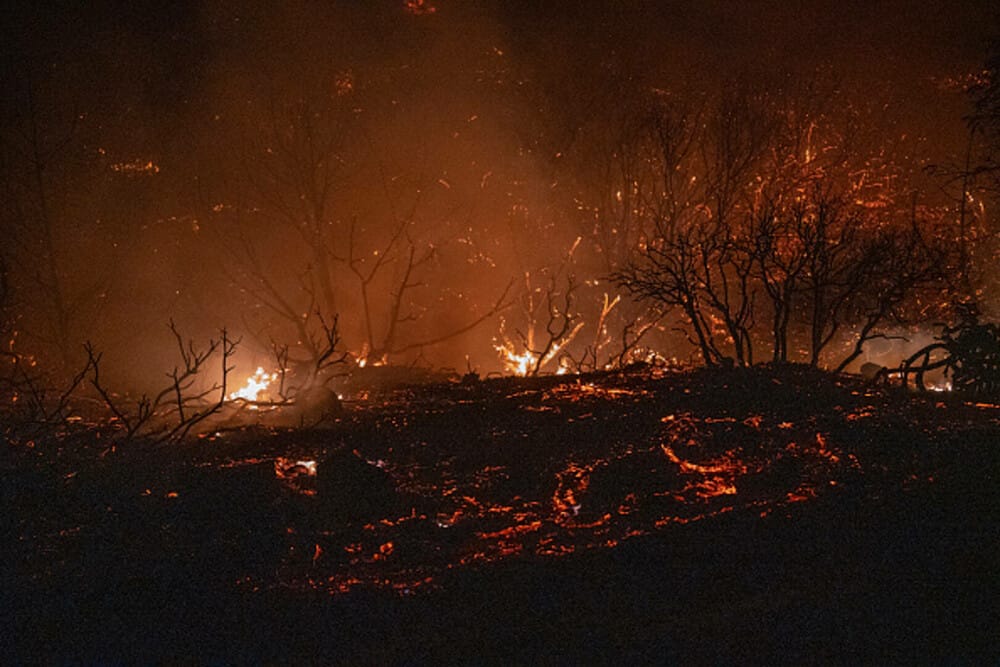 Sudul Europei, în alertă din cauza incendiilor. Flăcările au înghițit case în doar câteva minute, în Grecia și Turcia - Imaginea 13