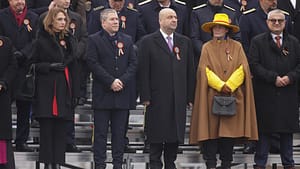 Judecătoarea Iulia Scântei, „femeia în galben” de la Ziua Națională, aleasă în conducerea Comisiei de la Veneția