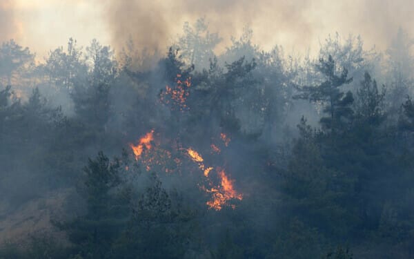 incendii grecia si turcia