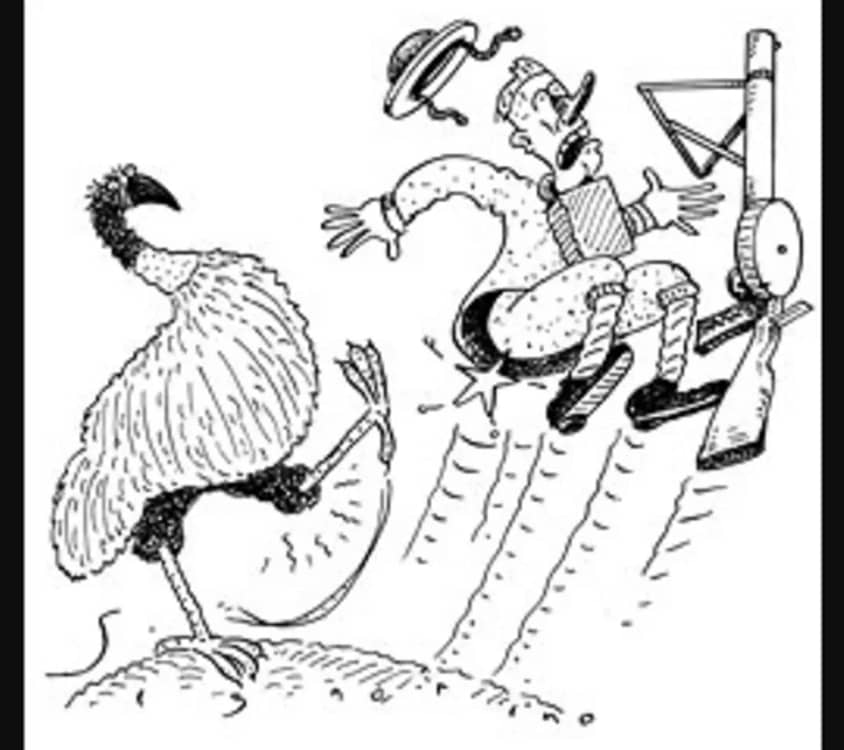 Caricatură privind „Războiul Emu” FOTO washingtonpaper.com