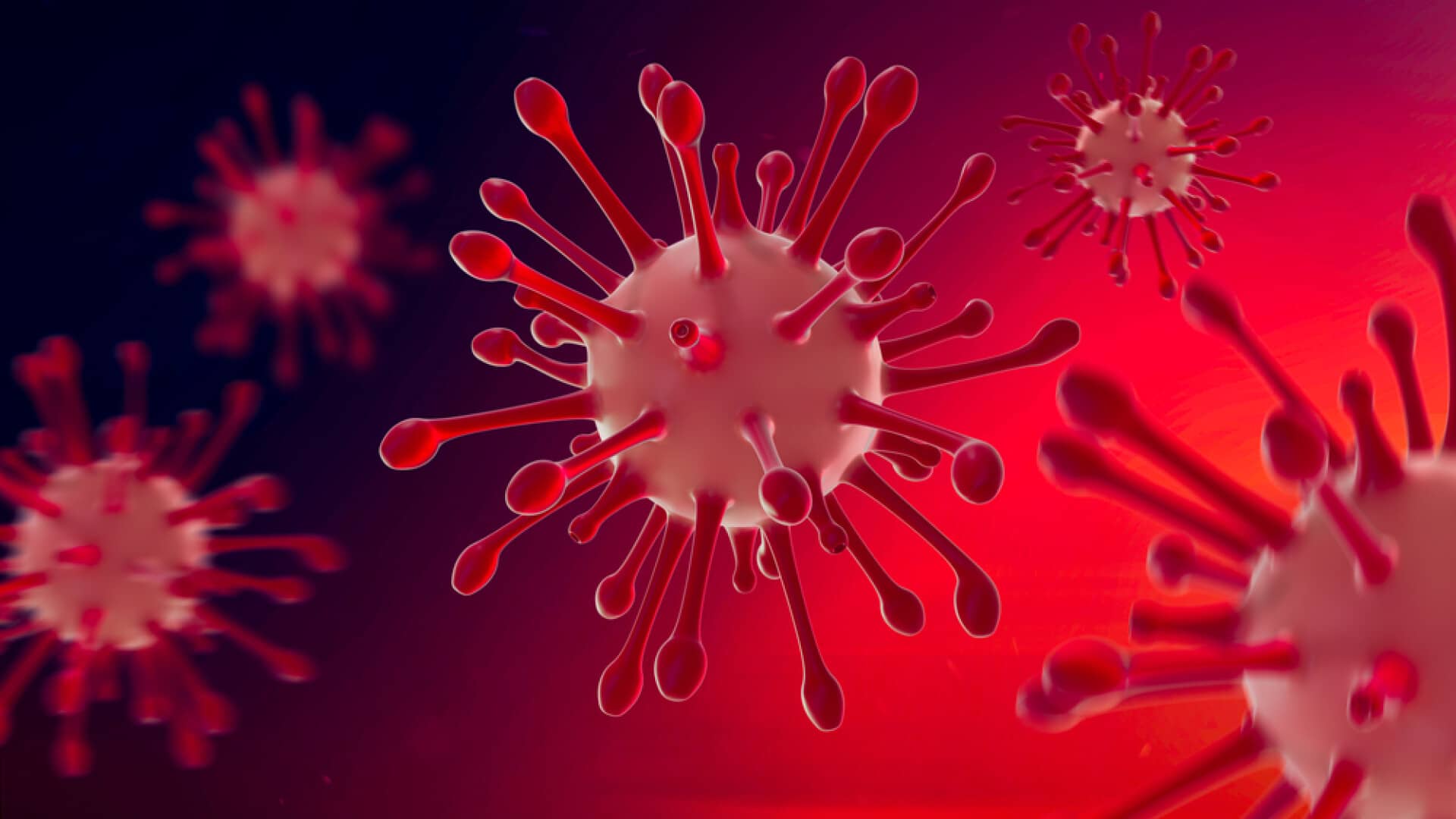 coronavirus