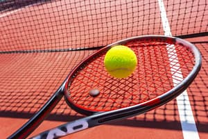 Jucătoare de tenis din România, suspendată doi ani de ITIA. A recunoscut totul