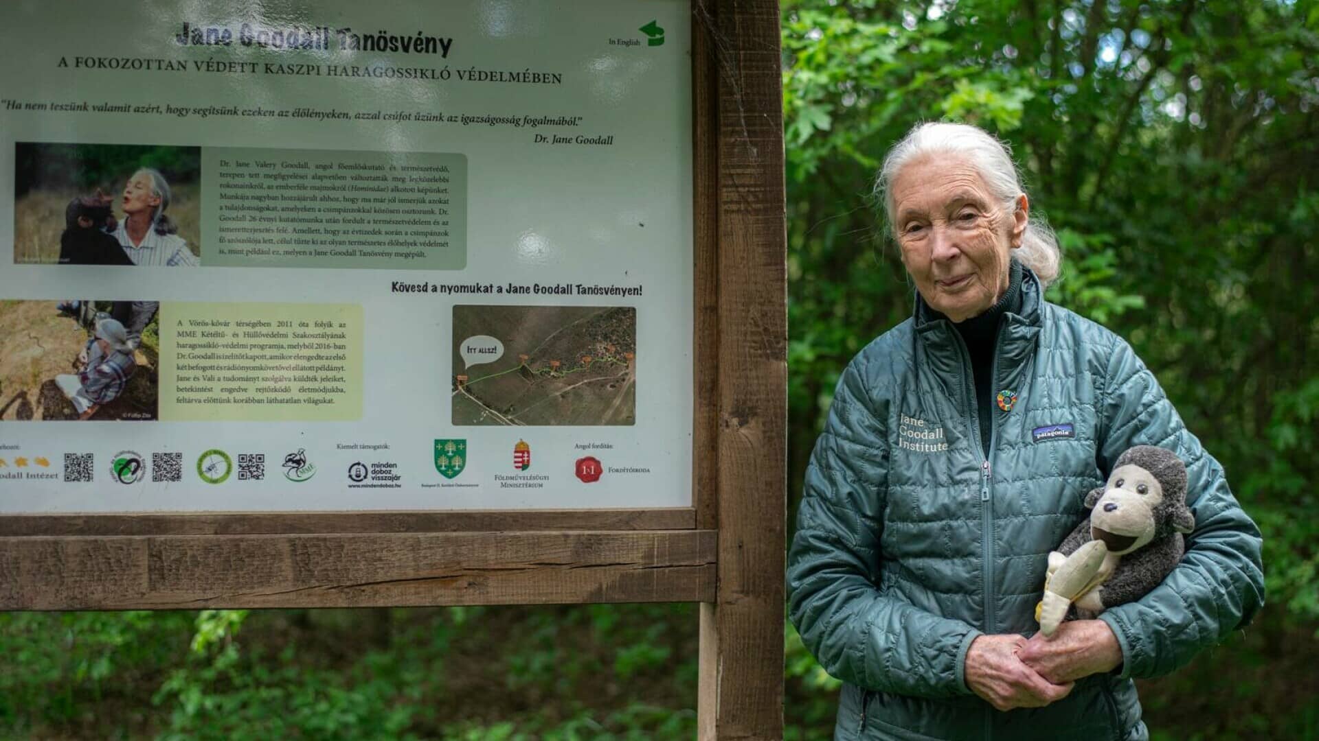 Jane Goodall