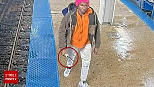 Atac la indigo. O femeie, înjunghiată într-o gară din Chicago, la trei luni după uciderea tinerei ucrainene, de un cuțitar