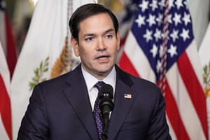 Mark Rubio intervine în favoarea AfD după declararea ca organizație extremistă: „Asta nu este democrație, este tiranie deghizată”