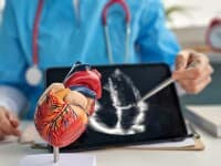 Bolile cardiovasculare fac ravagii &icirc;n UE: Comisia Europeană lansează &bdquo;Safe Hearts Plan&rdquo; pentru a preveni milioane de decese