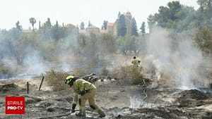 Israelul cere ajutor internațional, din cauza unui incendiu puternic de vegetație. România a trimis deja două avioane