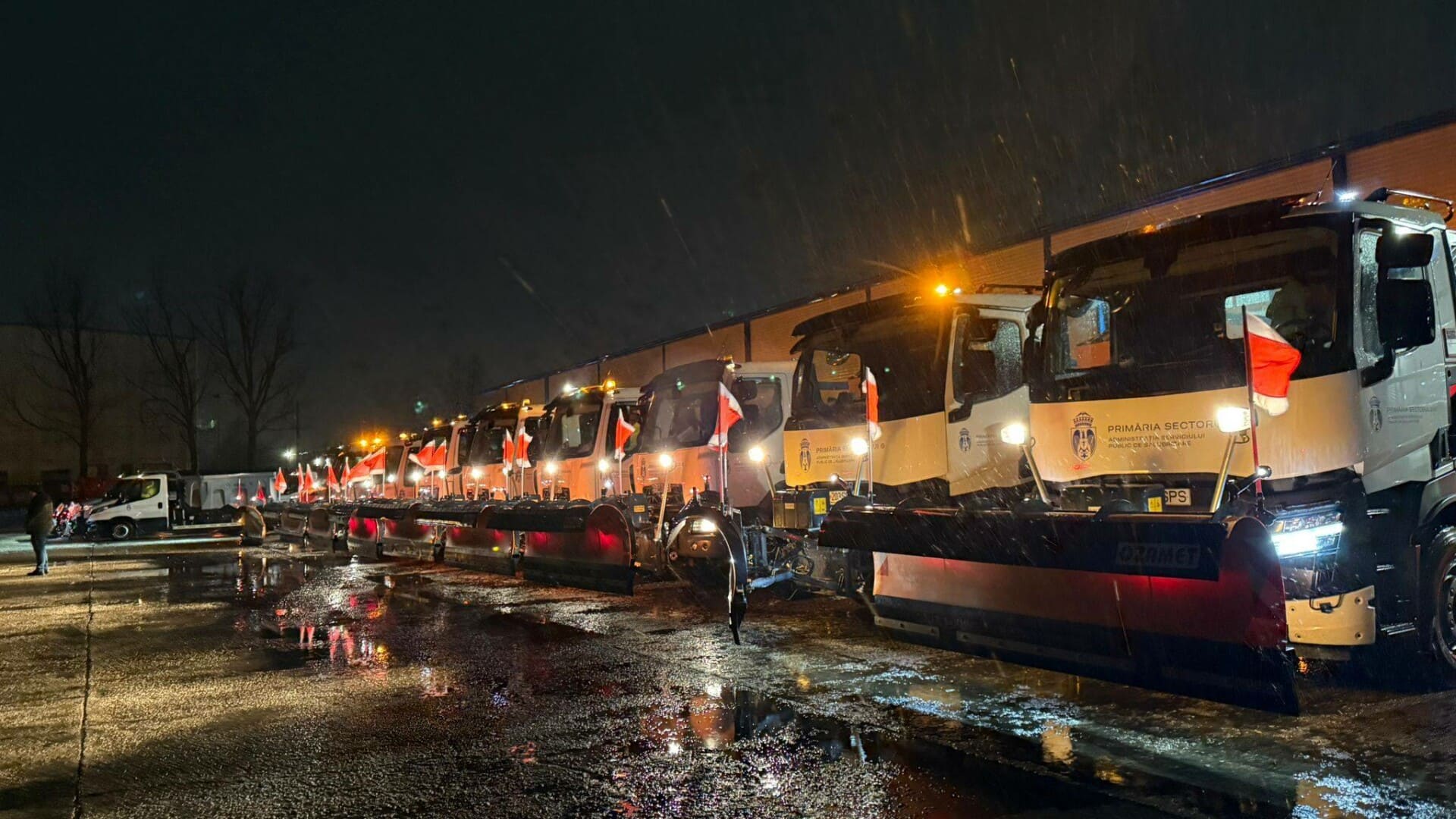 deszapezire bucuresti