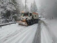 Ninge viscolit &icirc;n munți: DRDP Craiova intervine cu utilaje, Oltenia sub cod galben de ninsori și v&acirc;nt | Video