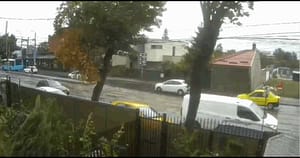 Un copac a căzut peste o mașină în mers, în Capitală. Momentul, surprins de camerele de supraveghere