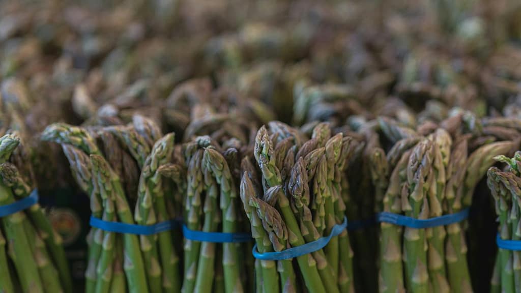 Românii nu mai pleacă la cules de sparanghel. Ministrul Agriculturii: Mii de afaceri deschise în ultimii ani / video