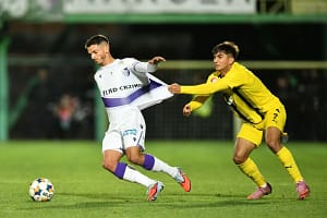 FC Argeș