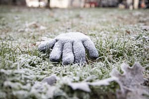 Val de frig năprasnic peste Italia. Temperaturile au coborât până la -23°C
