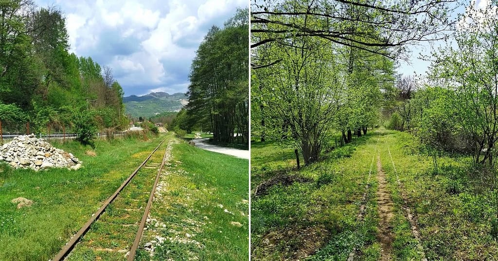 Mocănița oltenească: legendarul tren care ar putea deveni unica atracție de acest fel de la sud de Carpați. „Mocănițele României”