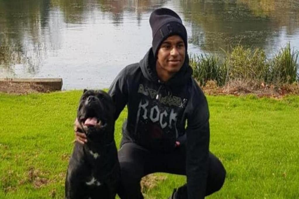 Vedetele din Premier League au găsit soluția împotriva jafurilor: câini de 35.000 de euro