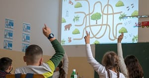 Cât de importantă e starea mediului pentru sănătatea noastră. „Rezultatele apar doar în timp, după acțiuni consecvente”