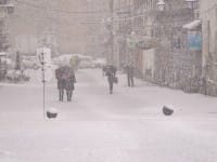 ANM a prelungit avertizările de vreme rea: v&acirc;nt puternic, ninsori și viscol. HARTĂ