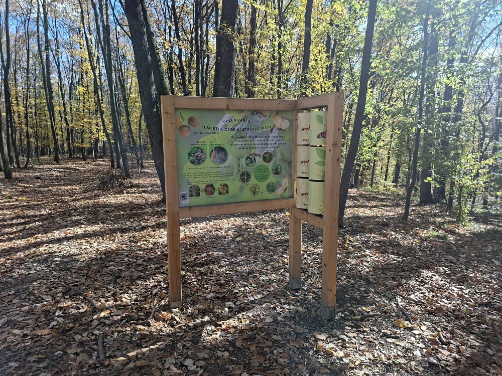 Panouri interactive FOTO Cosmin Zamfirache