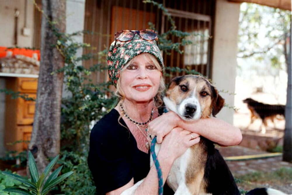 Brigitte Bardot împlinește 91 de ani. Povestea de viață a legendei cinematografiei franceze. GALERIE FOTO - Imaginea 24