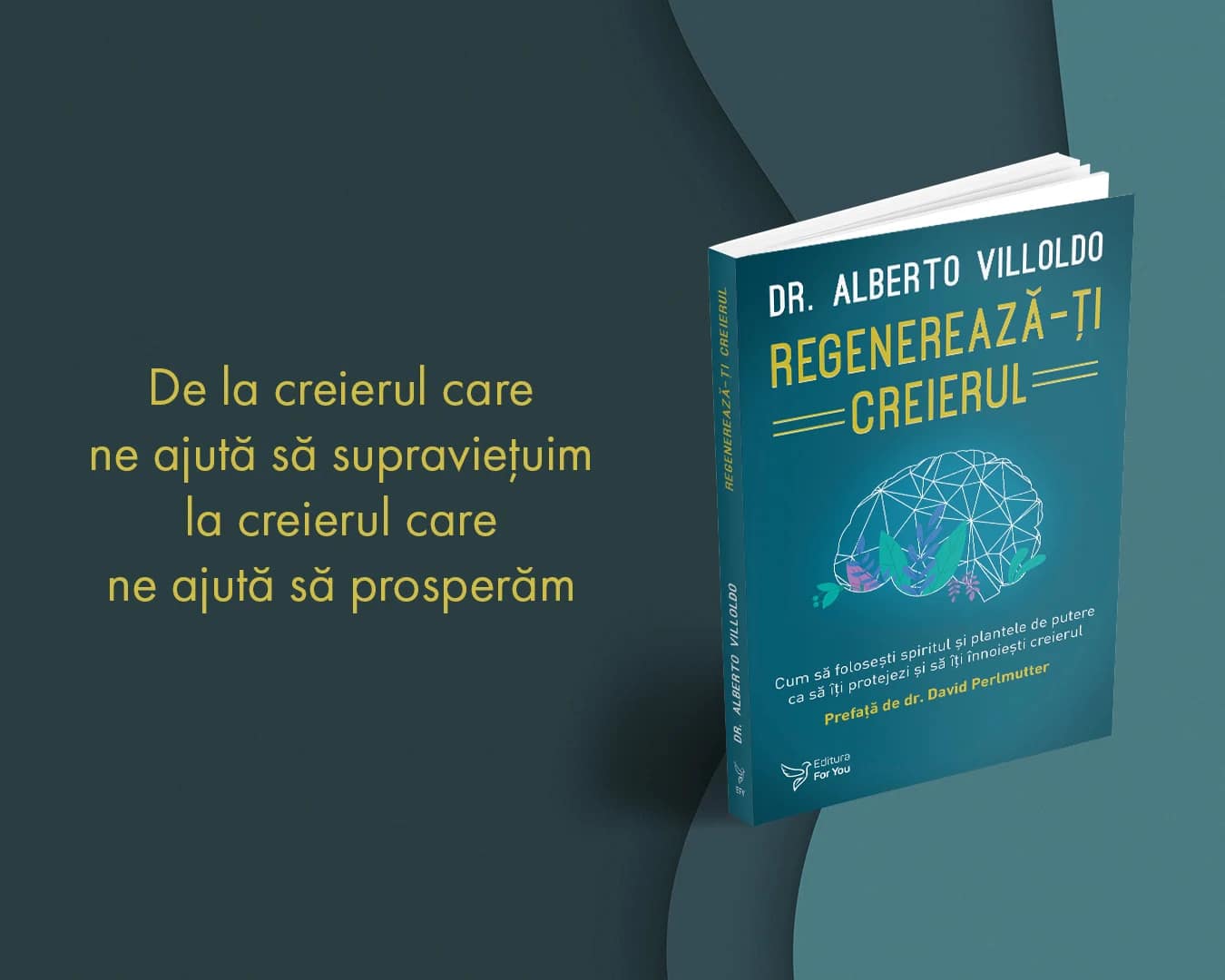 Articol Regenereaza ti Creierul jpg