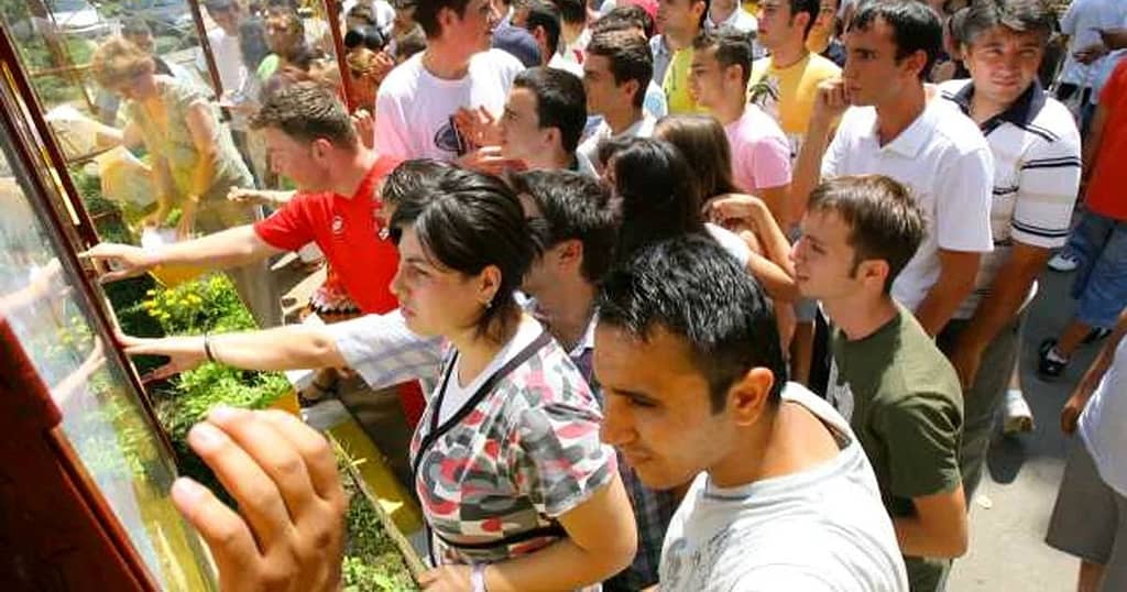 Bacalaureat 2025: Modele de subiecte la matematică