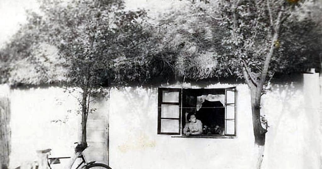 Valea Călmățui, unde s-a sfârșit iadul. Mărturii din timpul domiciliului forțat al lui Corneliu Coposu: „Ce mizerii ați îndurat?“