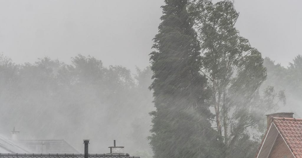 Cod portocaliu de vânt în zona montană din județul Cluj. Rafale de până la 140 kilometri pe oră