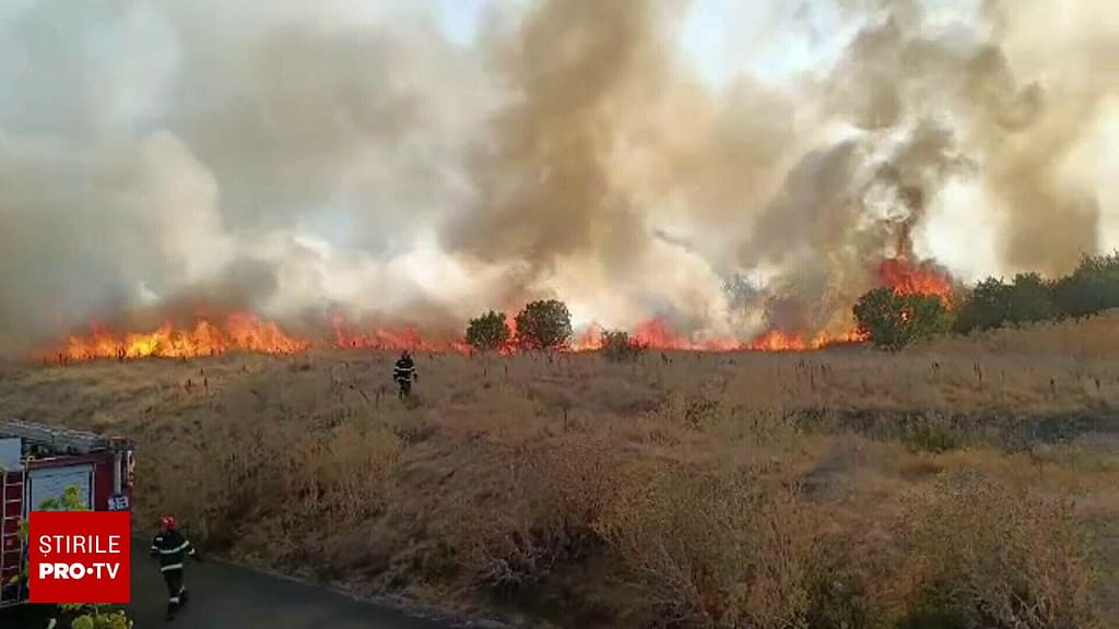 Un ieșean care sărise să stingă un incendiu de vegetație a fost amendat ”din dușmănie” de poliție cu 15.000 lei