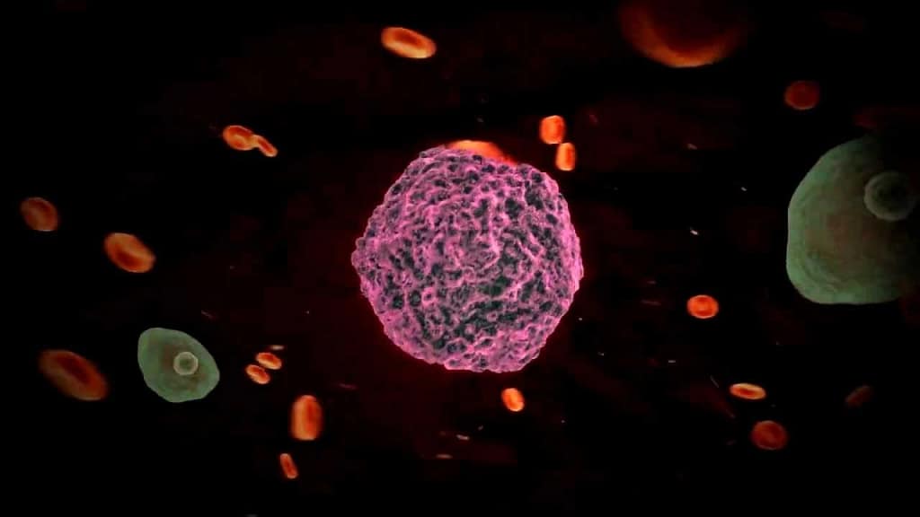 Revine febra tifoidă? O tulpină rezistentă a ceea ce se credea a fi ‘boala vremurilor de demult’ se răspândește din nou pe glob. Cercetătorii au lansat deja avertismente