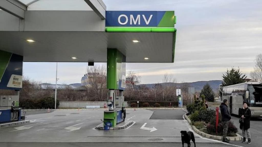 Alimentând la OMV, plătiți facturile austriecilor la energie: Subvenții de 500 mil. euro, din participațiile la companii