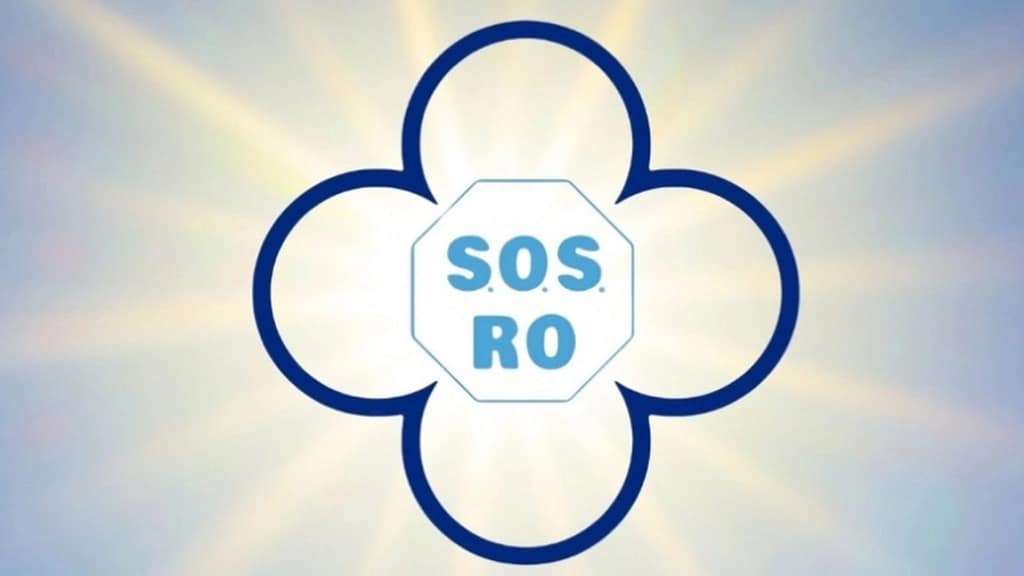 S.O.S. România cere autosesizarea Parchetului General după catastrofa din Prahova și Dâmbovița și demisia ministrului Mediului: Incompetența și lipsa de responsabilitate blochează școlile, spitalele și gospodăriile oamenilor