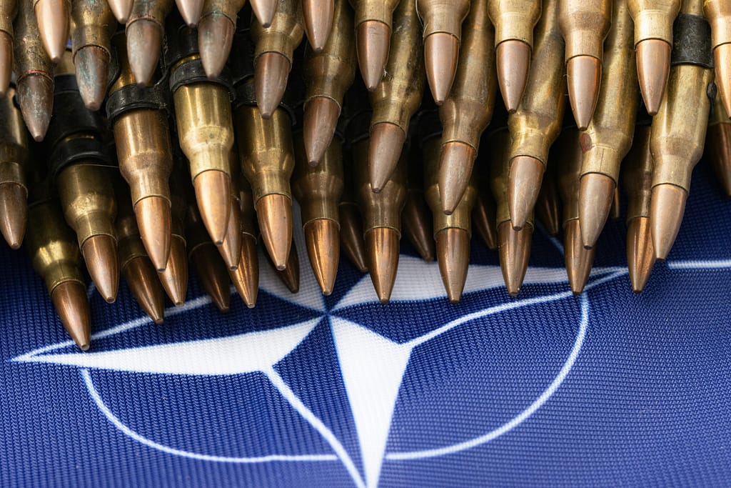 Cele două țări europene care vor cere 5% pentru apărare la summitul NATO de la Haga