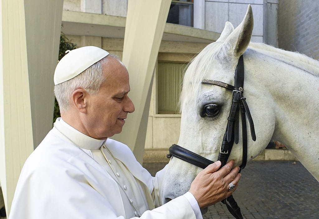 VIDEO Cadoul inedit primit de Papa Leon. „Așa mi-a venit ideea de a-i oferi un frumos pursânge arab”
