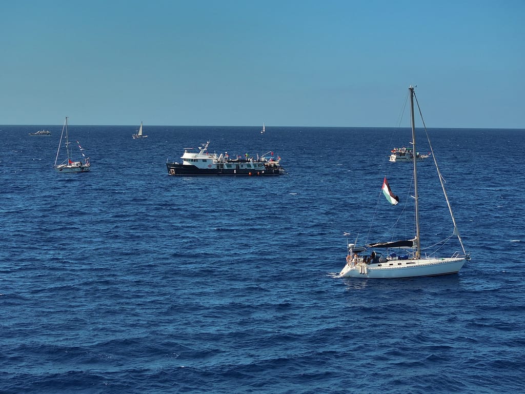 Armata israeliană tocmai a interceptat flotila cu ajutor umanitar care vrea să spargă blocada asupra Fâșiei Gaza. Ce vor organizatorii să facă mai departe