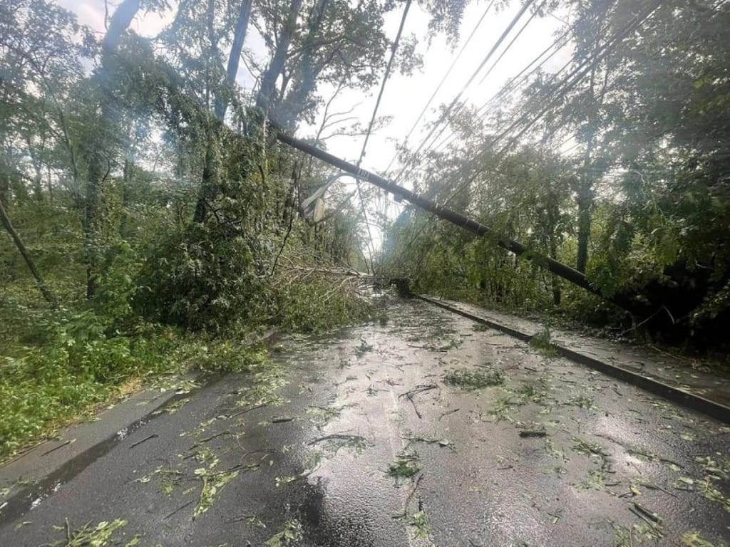 VIDEO FOTO Vremea extremă a făcut prăpăd în mai multe zone din țară, inclusiv în Capitală: ninsori, copaci doborâți de vânt, drumuri blocate și mașini avariate