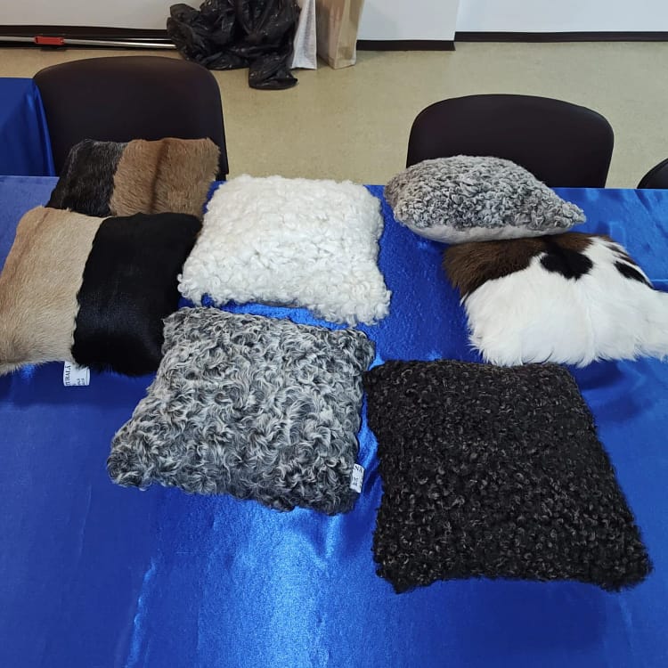 Pernuțe din pielicele de karakul și din pielicele de capră FOTO Stațiunea de Cercetare Popăuți