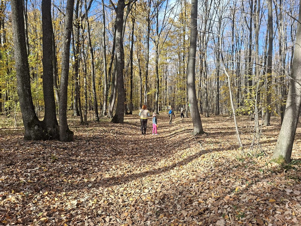 Poteca Teilor un traseu cu efecte terapeutice și rol educațional FOTO Cosmin Zamfirache
