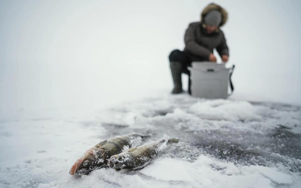 Pescuitul &icirc;n ape &icirc;nghețate, o tradiție pe cale de dispariție. Foto. Freepik.com