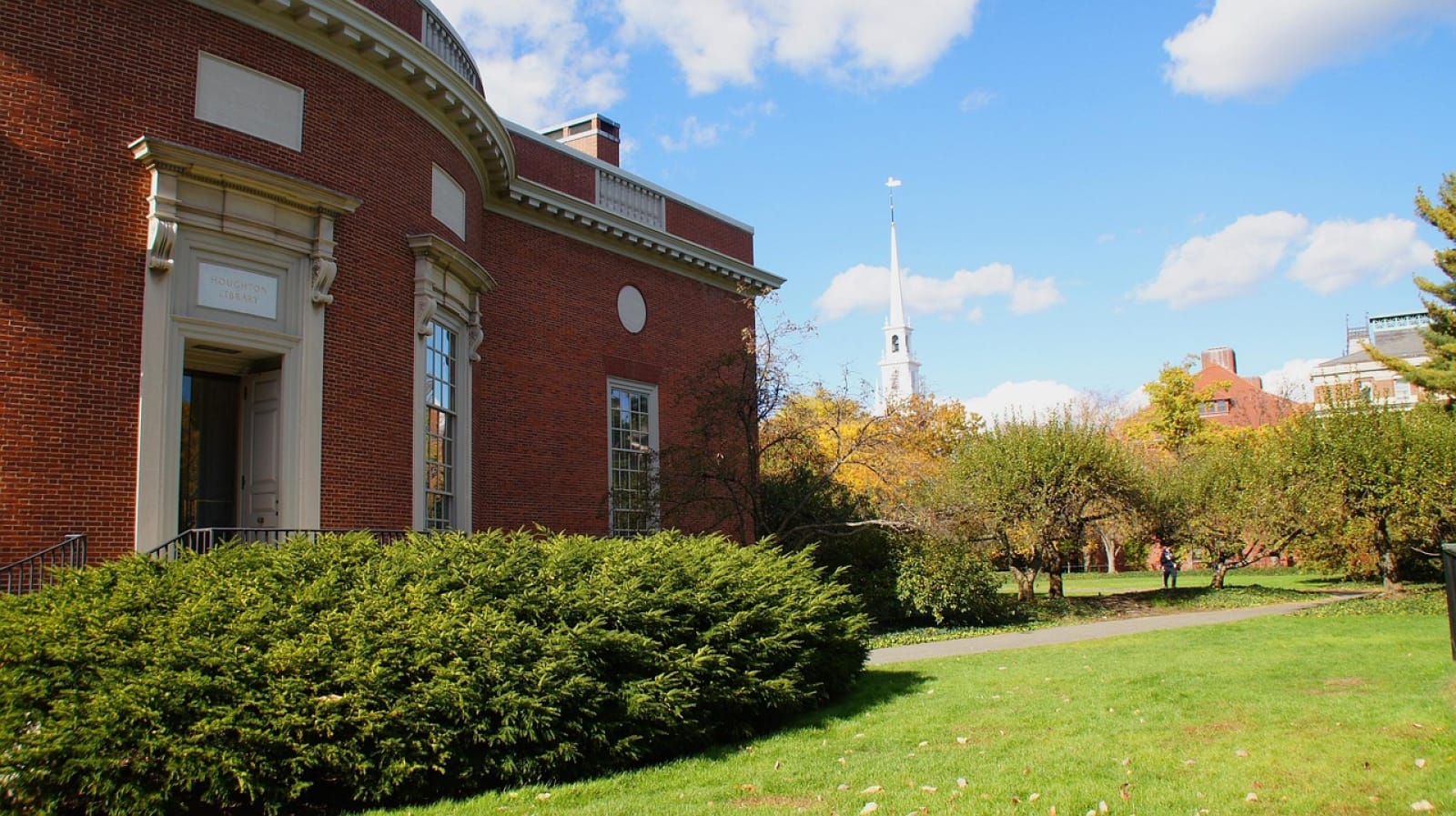 Studenții români de la Harvard trăiesc în incertitudine, după ce Trump a anunțat că îi vrea afară din Universitate. „Avem o teamă reală pentru viitorul nostru”