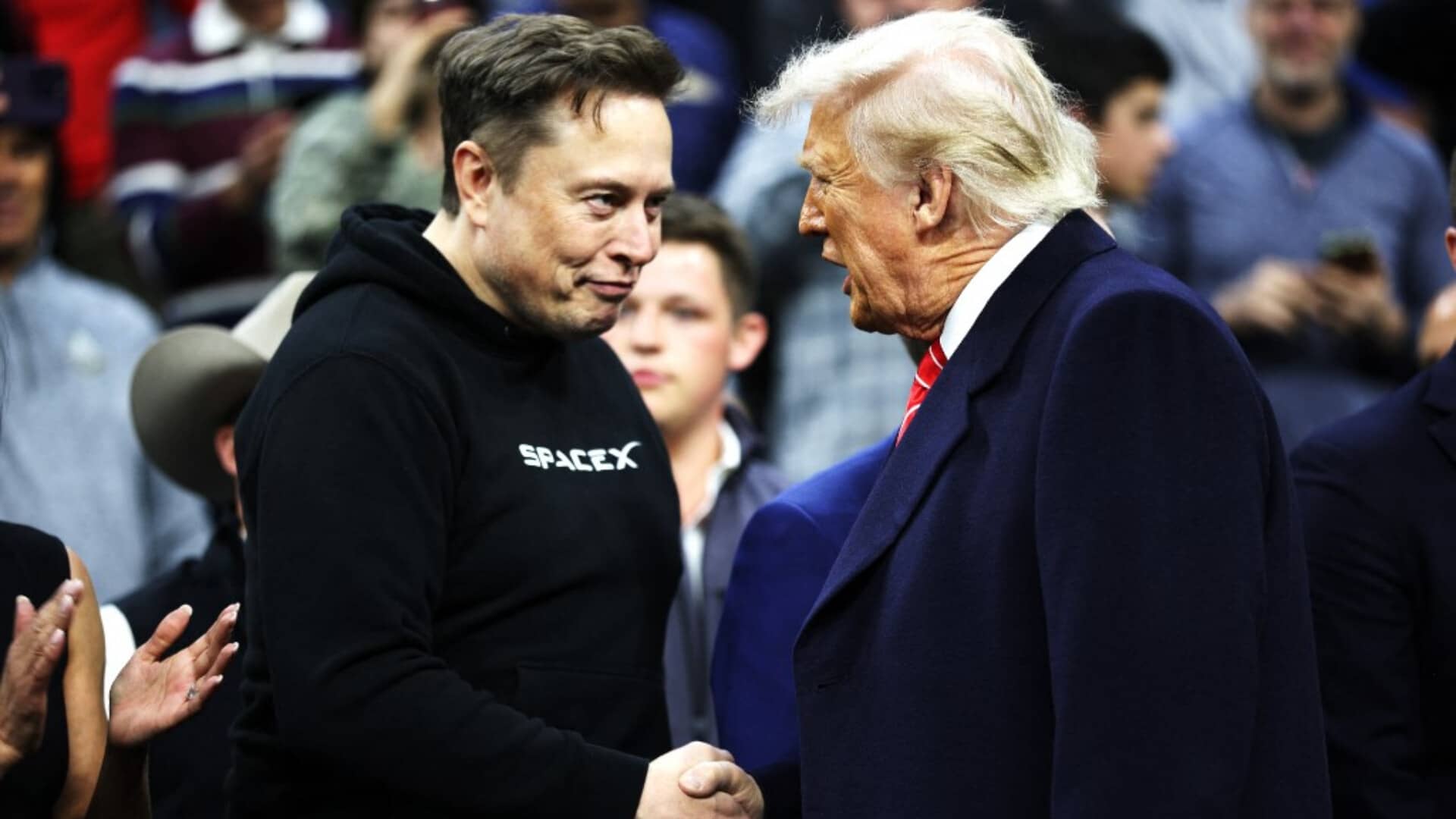 elon musk donald trump