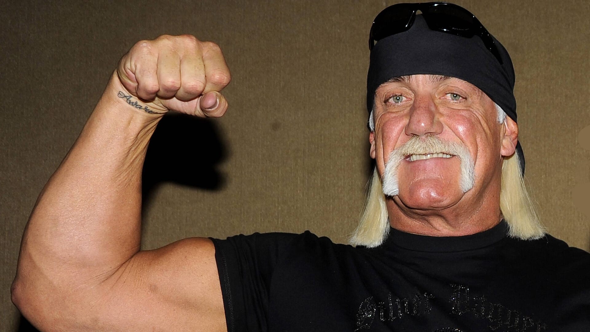 hulk hogan