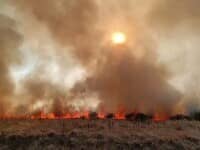 Incendii de vegetație tot mai periculoase în țară. Flăcările au ajuns aproape de case, păduri și autostrăzi