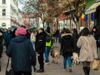 Rom&acirc;nia, campioană la proprietari &icirc;n UE, dar pe primul loc la supraaglomerare. Patru din zece rom&acirc;ni trăiesc &icirc;nghesuiți