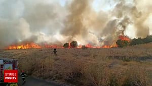 Un ieșean care sărise să stingă un incendiu de vegetație a fost amendat ”din dușmănie” de poliție cu 15.000 lei