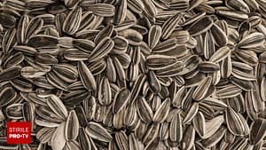 Semințe de floarea-soarelui: superalimentul ieftin care îți aduce energie și sănătate